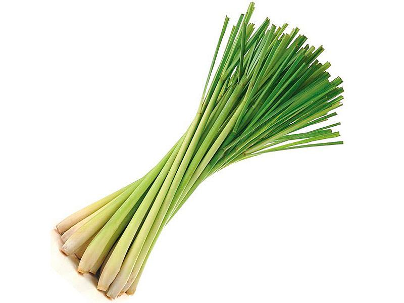 Лимонная трава (Lemon Grass)